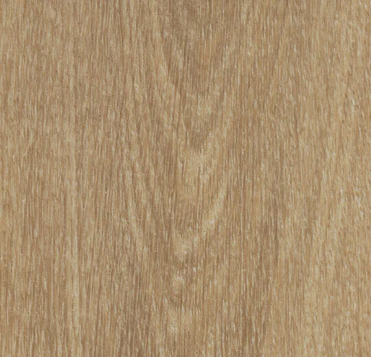 60284PZ7 natural giant oak